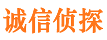 东川市侦探